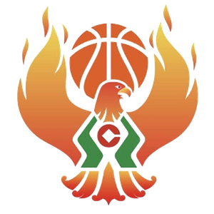 https://img.sanmujingdian.com/img/basketball/team/09b49d34027e0409a4de3295f8c71a2d.png